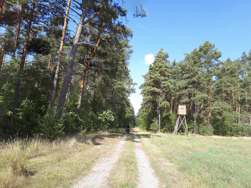 start-2022-deutschlandtour-naturpark-suedheide