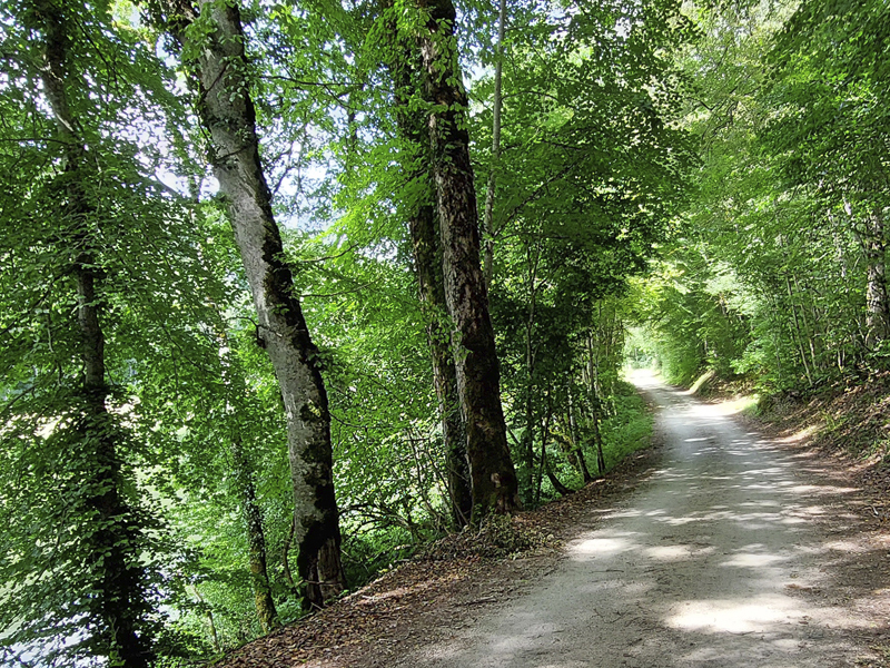 start-2023-donauradweg-vor-beuron